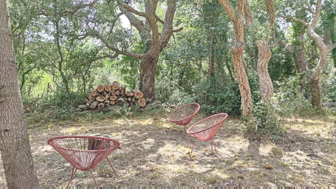 Les Pierres De La Massane - Vue Sur Les Alberes Argelès-sur-Mer Exterior foto