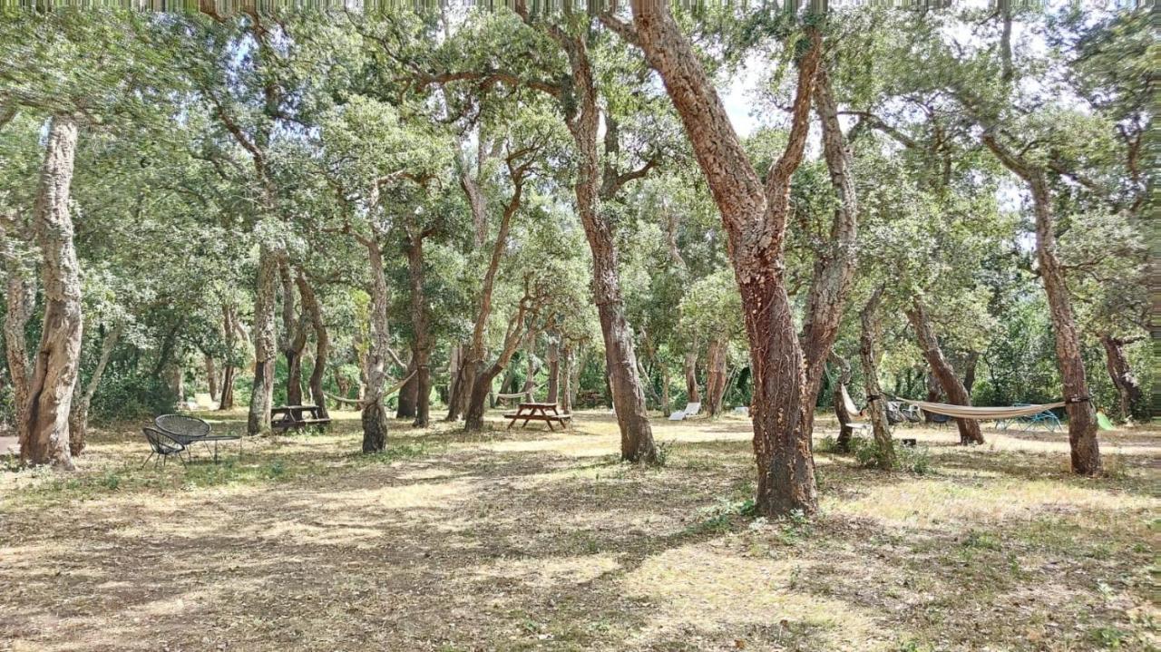Les Pierres De La Massane - Vue Sur Les Alberes Argelès-sur-Mer Exterior foto
